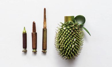 Per Sonia Rentsch la natura è l’arma più efficace