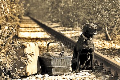 Mosca, la città dove i cani sono pendolari e viaggiano in metro
