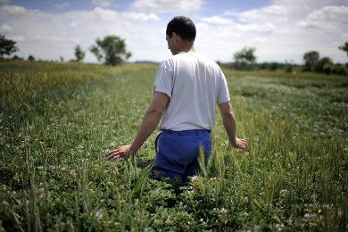 Com’è bella la terra in Romania
