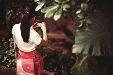 Smartphone Ultra HD, il primo sarà un Sony Xperia