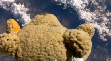 Babbage, l’orso di peluche che ha battuto Baumgartner