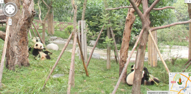 Google Street View: visita allo zoo