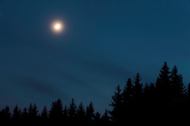 Claude Debussy: il Chiaro di Luna nei film – video