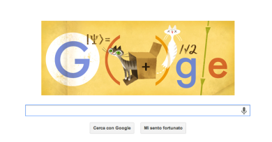 Un Doodle per il gatto di  Erwin Schrödinger