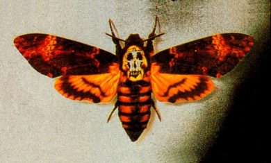 Libri e cinema: 10 grandi gialli diventati grandi film