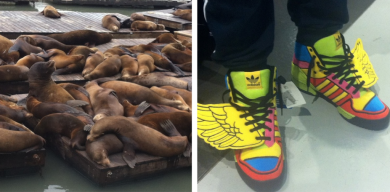 A spasso per gli States: San Francisco, la città dove tutto è particolare