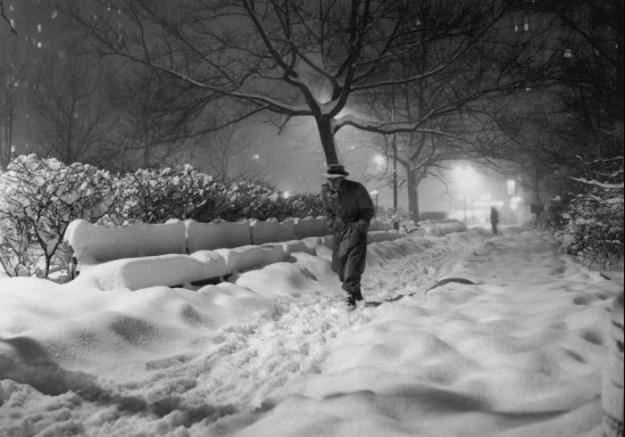 Paura del freddo, nemico folle in cerca di prede