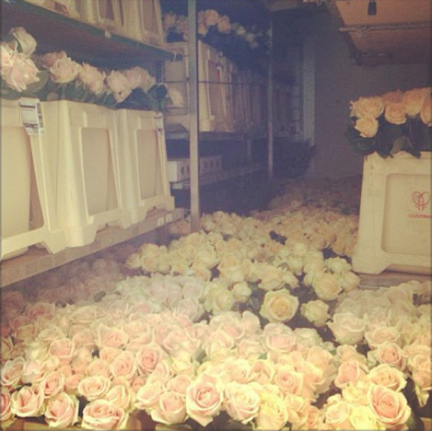 Belén, le nozze della principessa senza trono che ha conquistato l’Italia