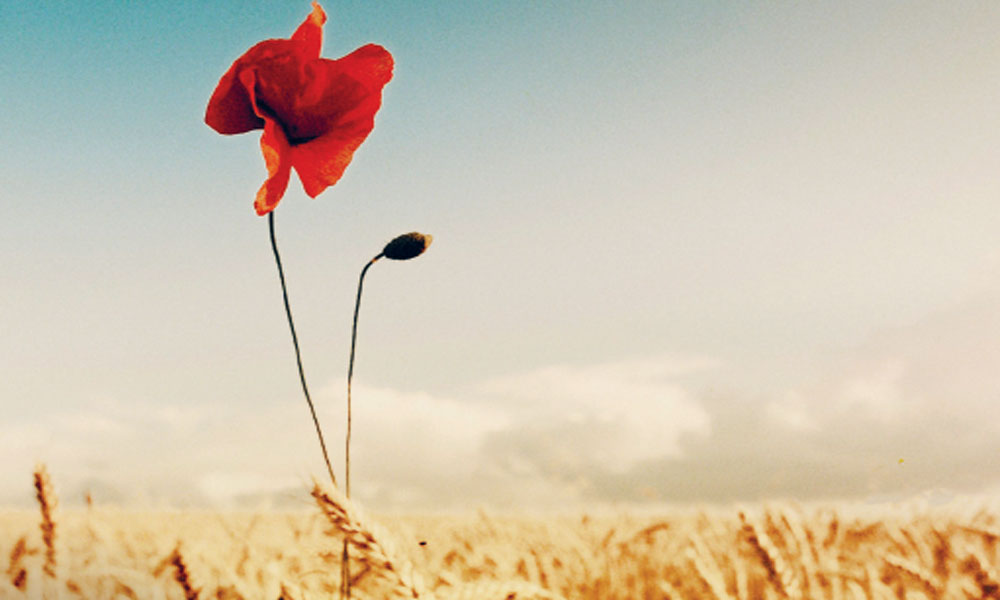 Carmine Abate, Il bacio del pane