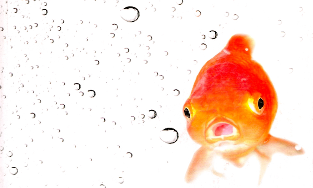 Flavio Pagano, ‘Perdutamente’: un romanzo per rompere il tabù dell’Alzheimer