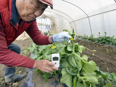 Noi che resistiamo a Fukushima