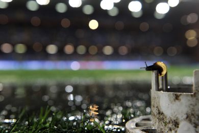 Sampdoria – Genoa 0-3: Dio esiste ed è buono.