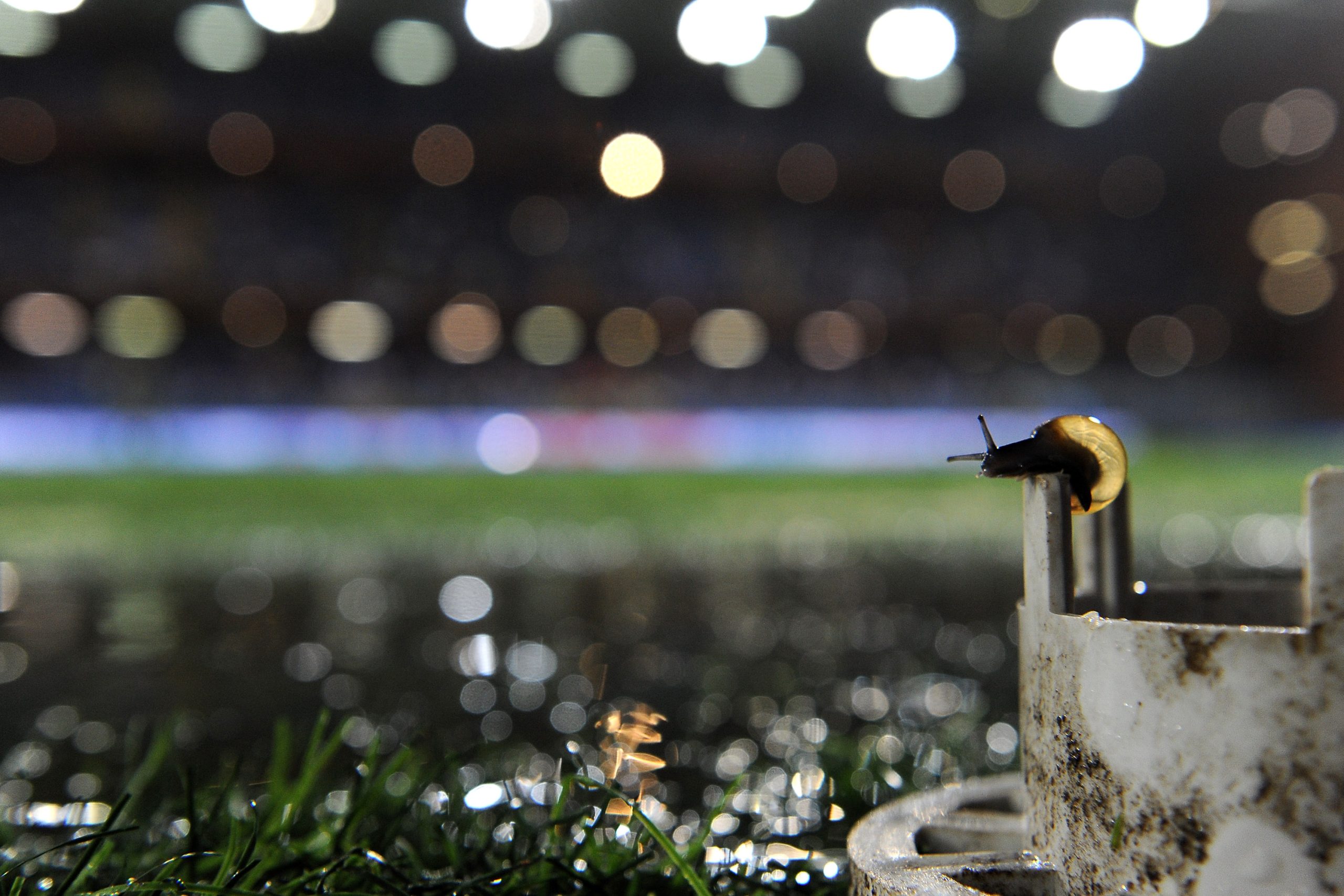 Sampdoria – Genoa 0-3: Dio esiste ed è buono. Sampdoria – Genoa 0-3: Dio esiste ed è buono.