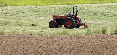 Expats moving to Italy