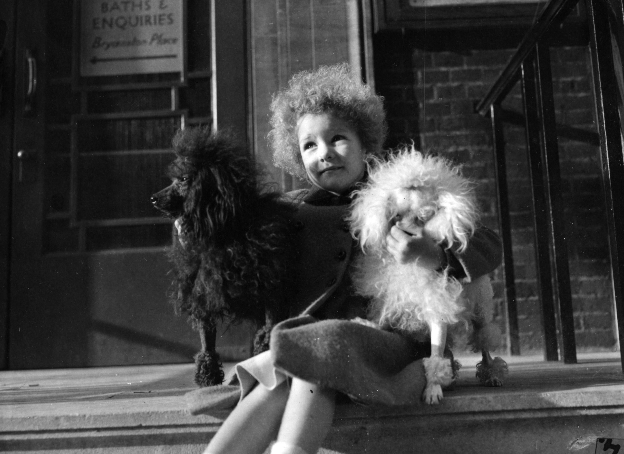 Cani e padroni: ecco perché si assomigliano