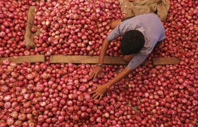 Le foto più belle della settimana – 18/24 ottobre