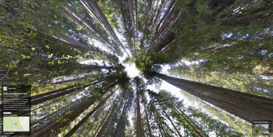 Google Street View nei Parchi nazionali della California