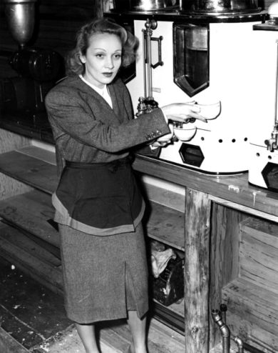 «Ci sono un’infinità di cose da riparare in te, tesoro» Il Puma fragile Marlene