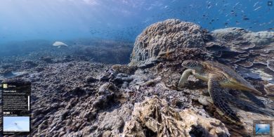 Google street view: foto sferiche alla Grande barriera corallina