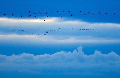 Le foto più belle della settimana – 27 settembre/3 ottobre