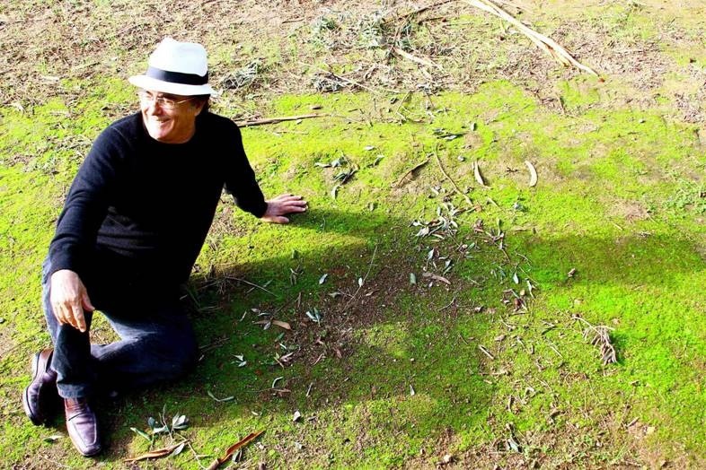 Al Bano al timone di Find my family. Ecco di cosa si tratta Al Bano al timone di Find my family. Ecco di cosa si tratta