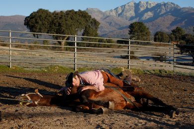 Fernando Noailles, l’uomo che sussurra ai cavalli