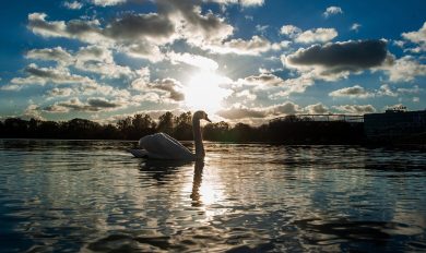 Le foto più belle della settimana – 22/28 novembre