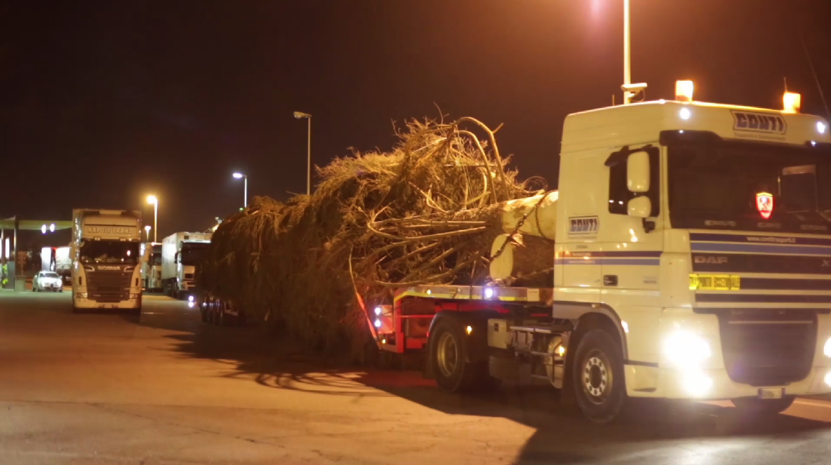 Il Natale è arrivato a Milano Il Natale è arrivato a Milano