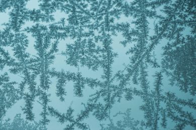 Preludio d’inverno: ghiaccio e neve nelle foto più belle