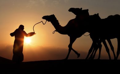 Viaggio nel deserto arabico