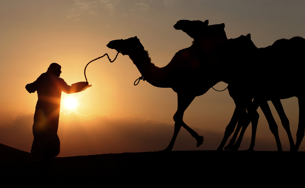 Viaggio nel deserto arabico Viaggio nel deserto arabico