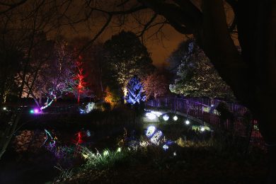A Londra lo spettacolo di luci del “bosco incantato”