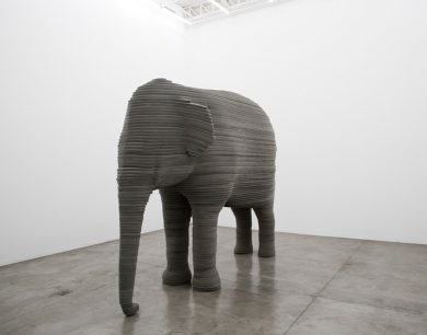 Lo zoo di Joao Loureiro