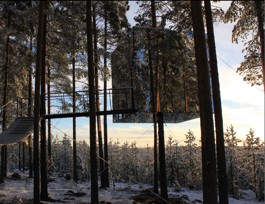 Tree Hotel: una vacanza sugli alberi Tree Hotel: una vacanza sugli alberi