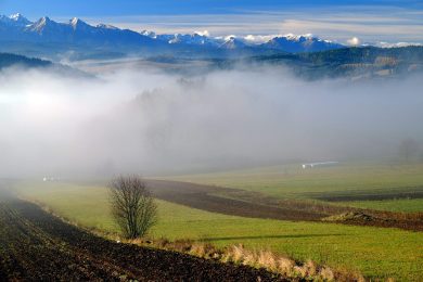 Le foto più belle della settimana – 8/14 novembre