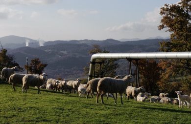 Enjoy Tuscany among horses and cowboys