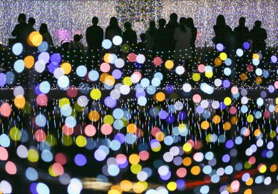 Le foto più belle della settimana – 1/7 novembre