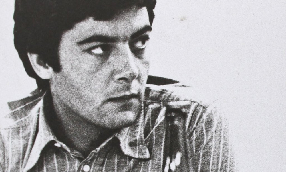 Il tormento del delfino nella memoria di 100 vite Il tormento del delfino nella memoria di 100 vite