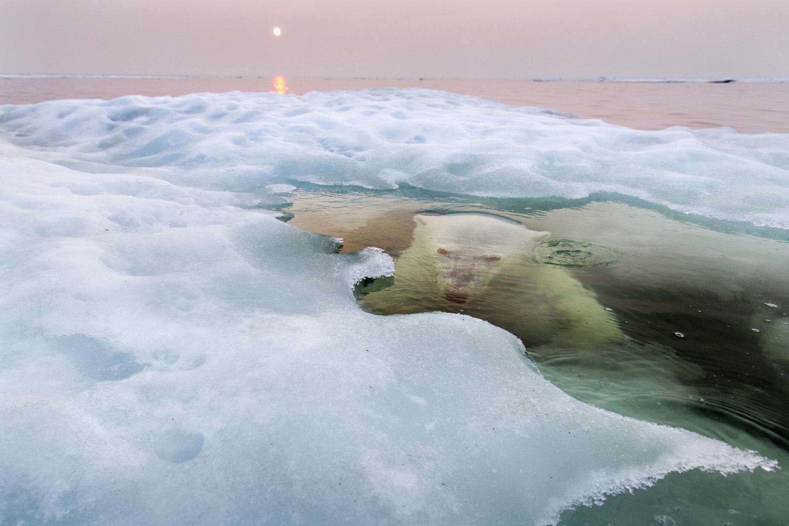 National Geographic Photo Contest 2013: le foto vincitrici
