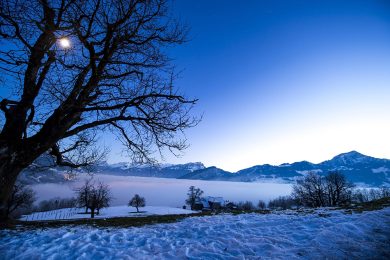 Le foto più belle della settimana – 13/19 dicembre