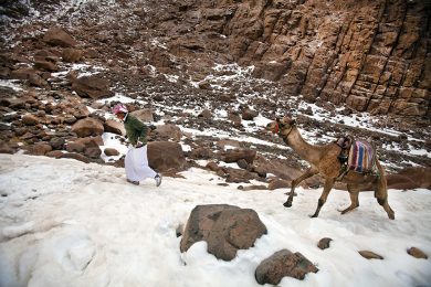 La neve in Egitto dopo 112 anni e altre foto del giorno,18.12.2013
