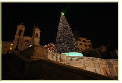 L’albero della luce, luce delle opportunità
