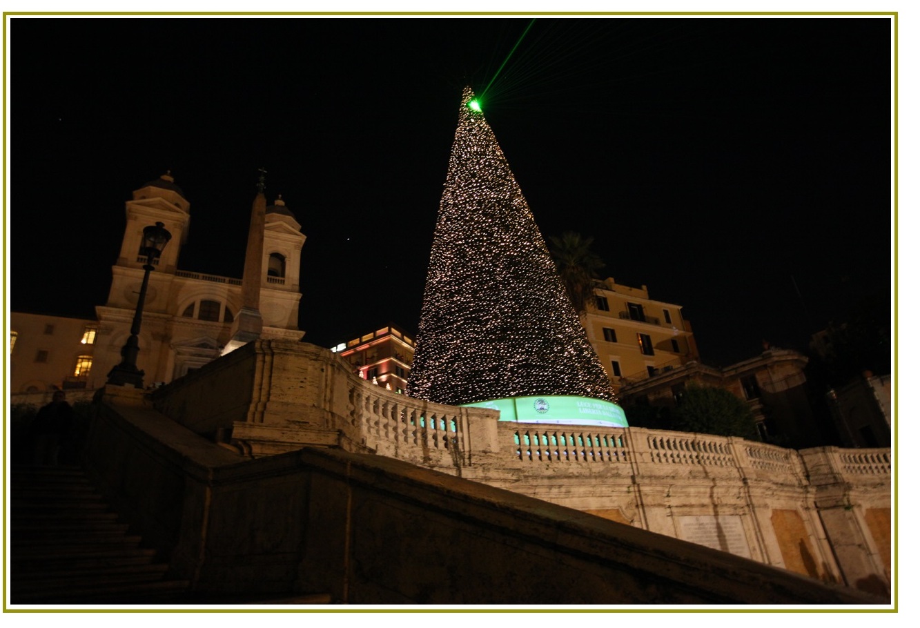 L’albero della luce, luce delle opportunità L’albero della luce, luce delle opportunità