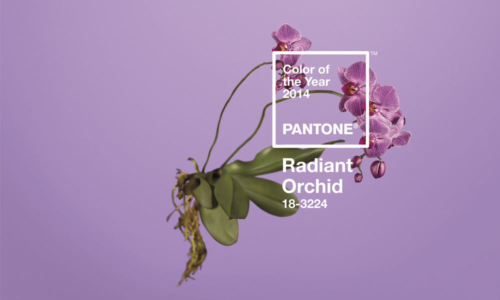 Il colore Pantone 2014 è il Radiant Orchid