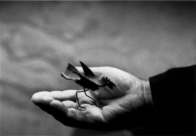 Ugo Mulas e la mostra Circus Calder