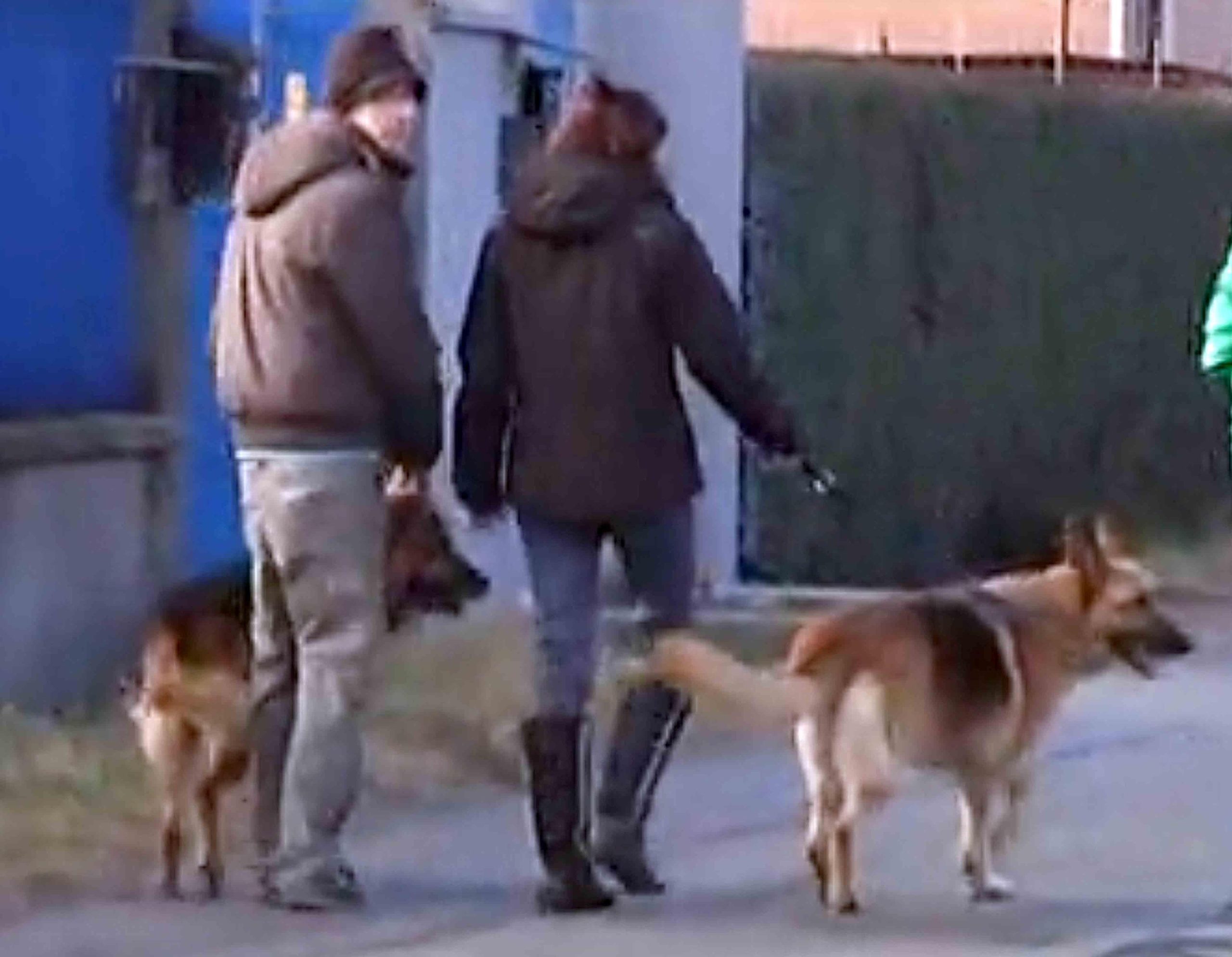 Quei “mostri” per un giorno