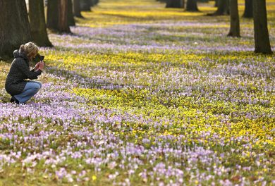 Le foto più belle della settimana – 21/27 febbraio