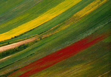 Modena e i suoi fotografi. Dal Dopoguerra agli anni Novanta
