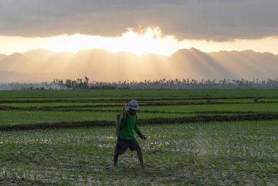 100 giorni dopo il tifone Haiyan e altre foto del giorno, 17.2.2014