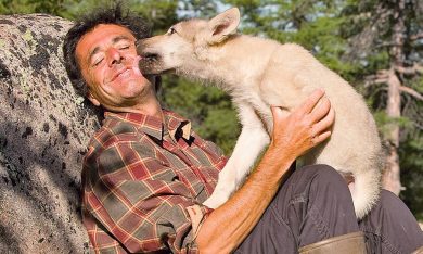 Belle e Sébastien al cinema
